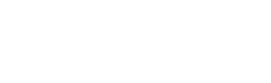 WILDCATS SHINAGAWACC